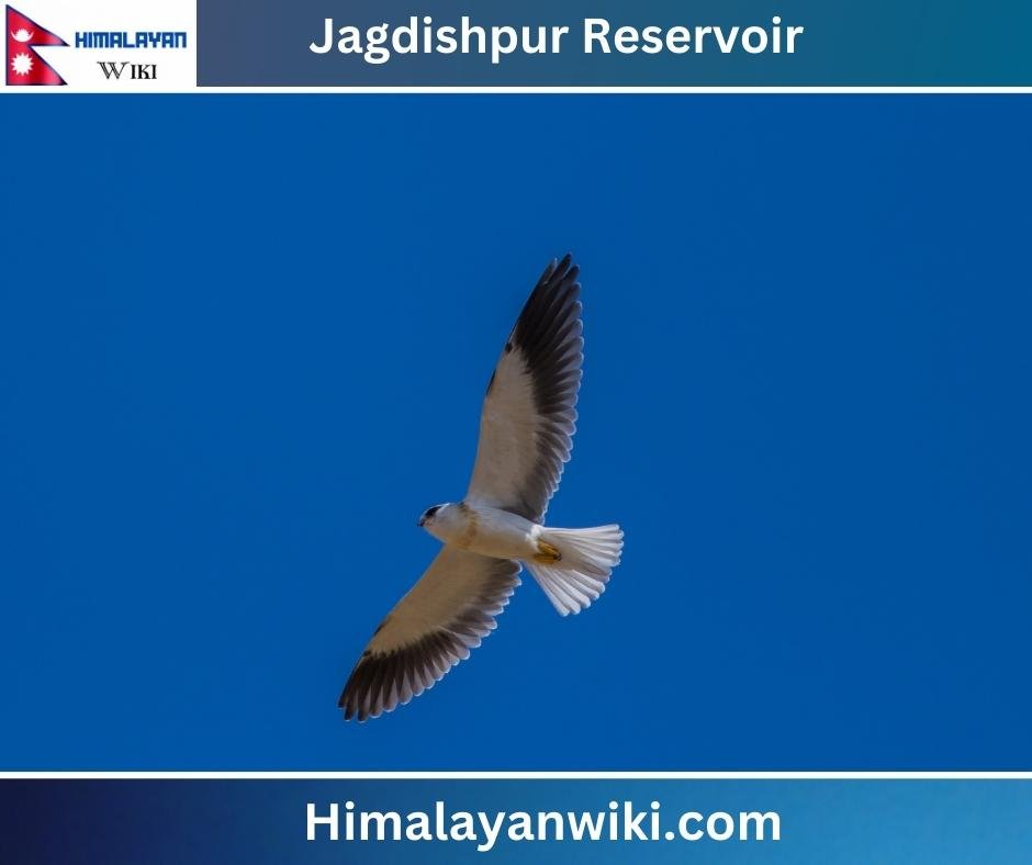 Jagdishpur Reservoir