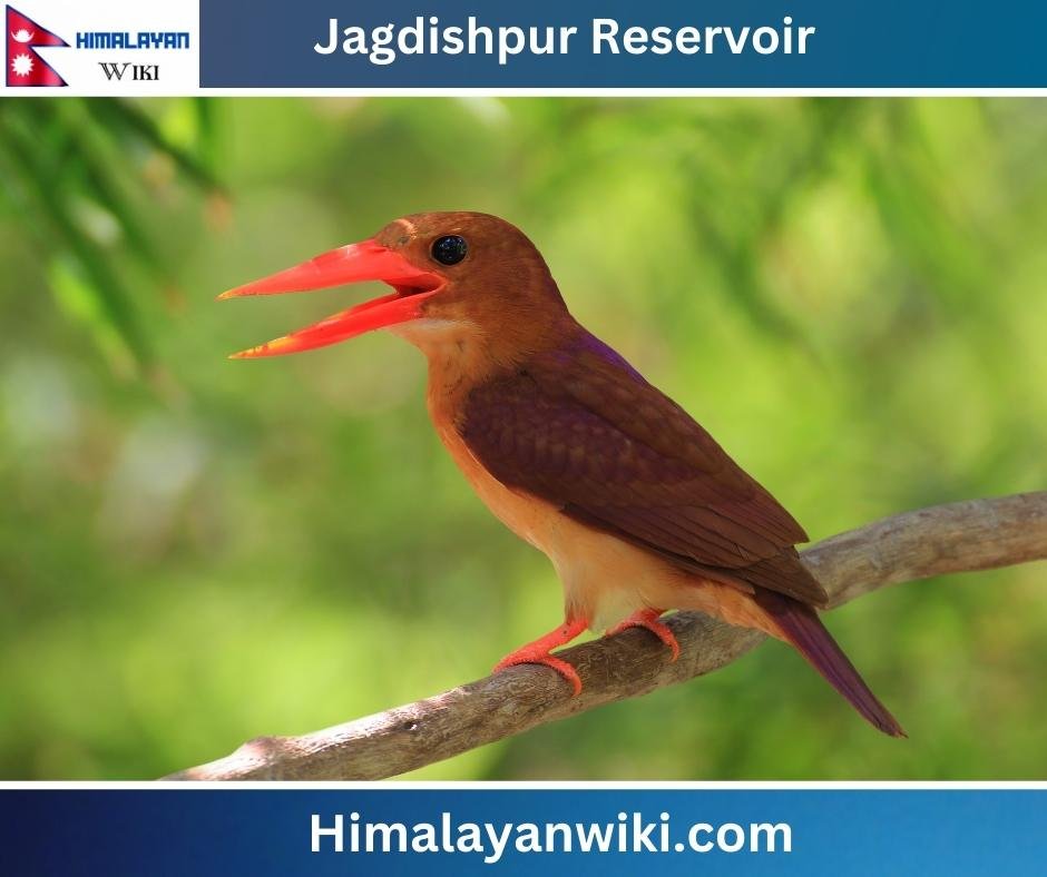 Jagdishpur Reservoir