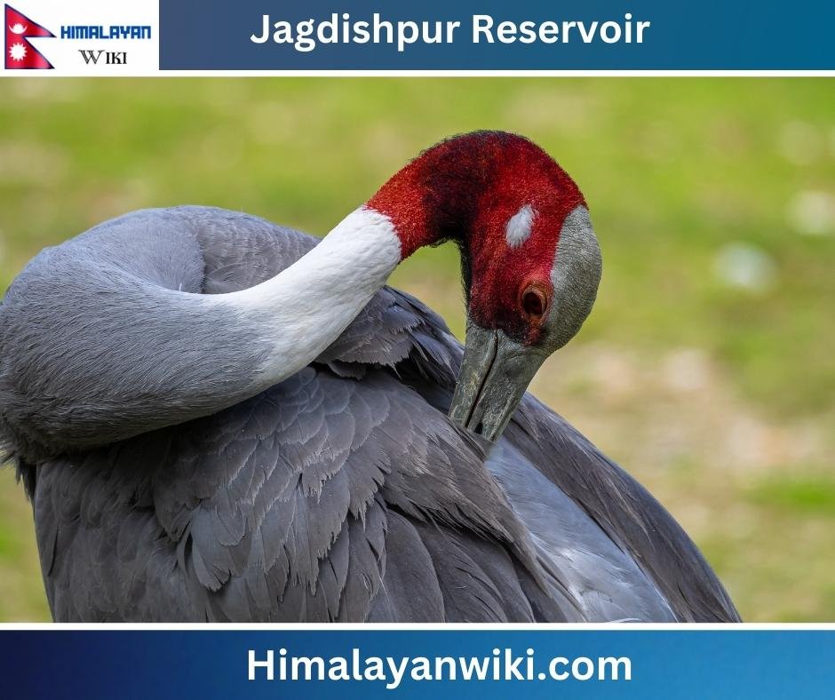 Jagdishpur Reservoir