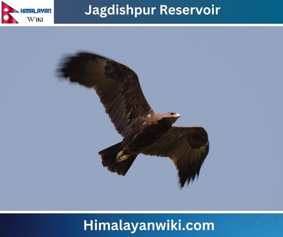 Jagdishpur Reservoir