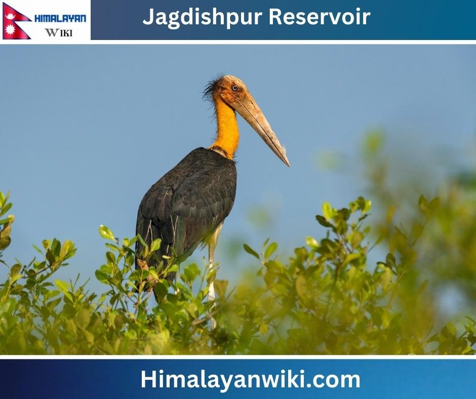 Jagdishpur Reservoir