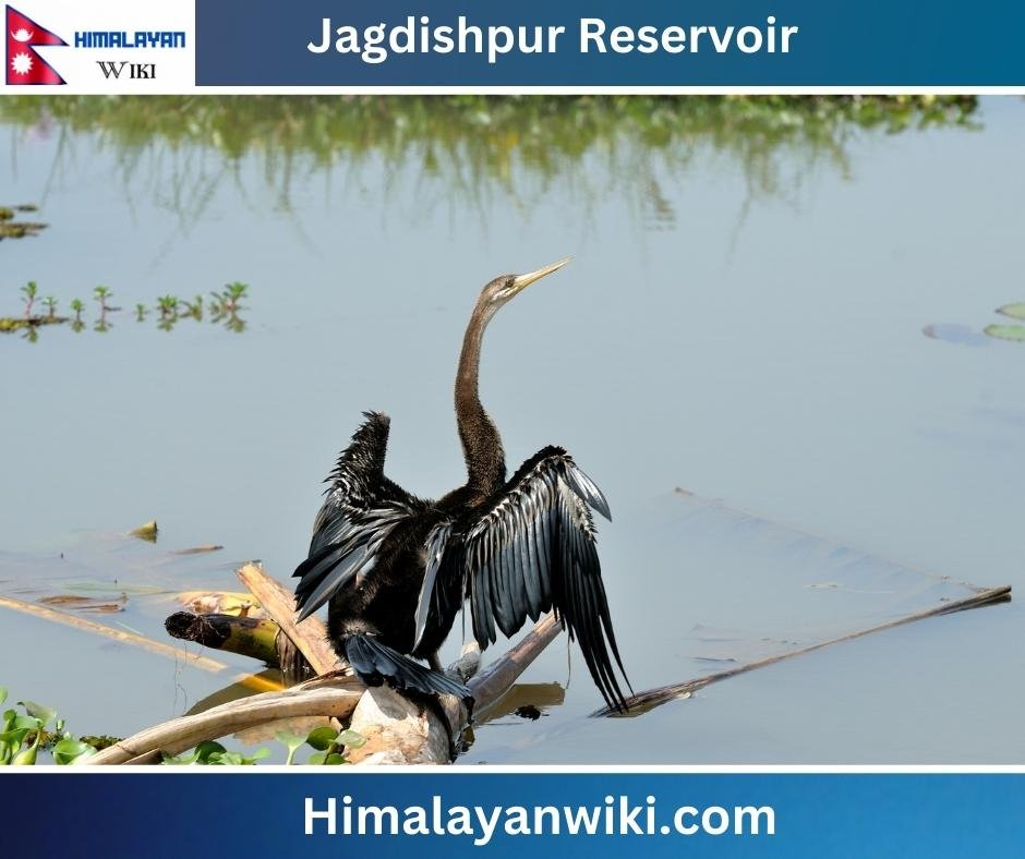 Jagdishpur Reservoir