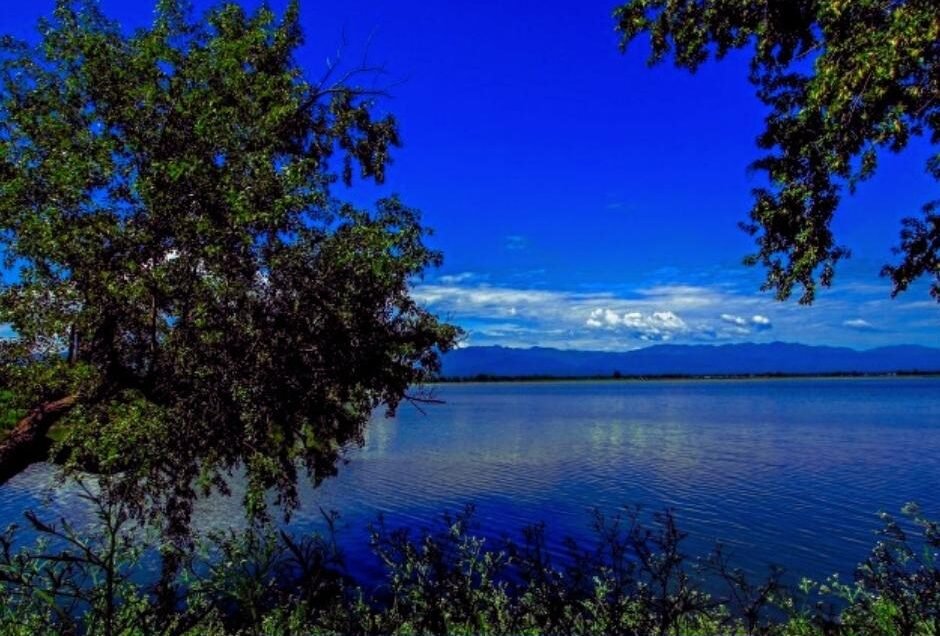 Jagdishpur Reservoir