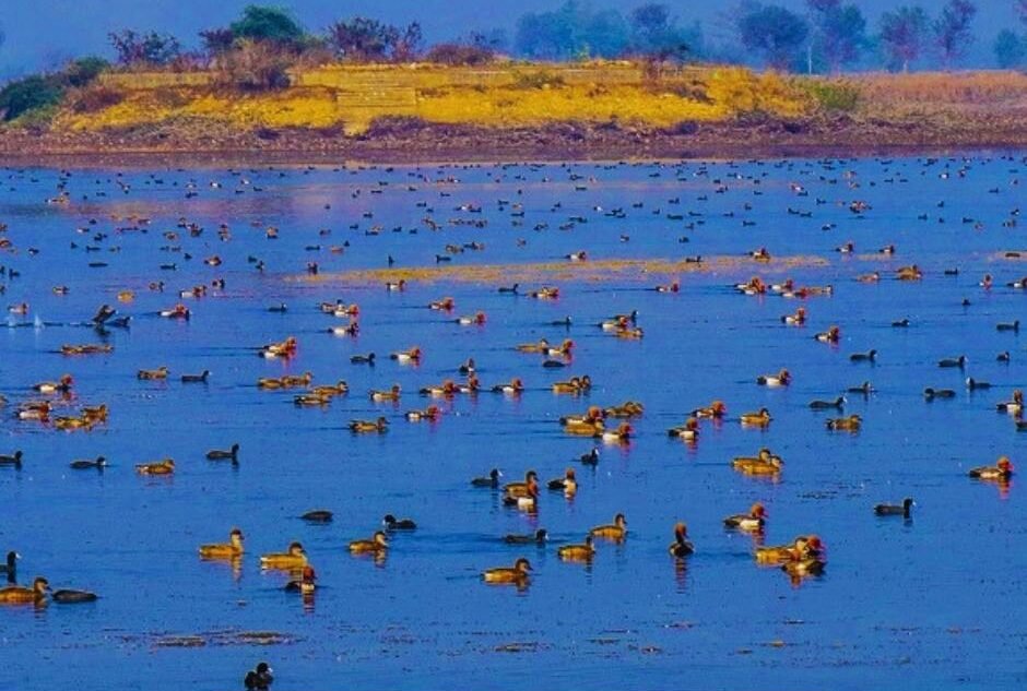 Jagdishpur Reservoir