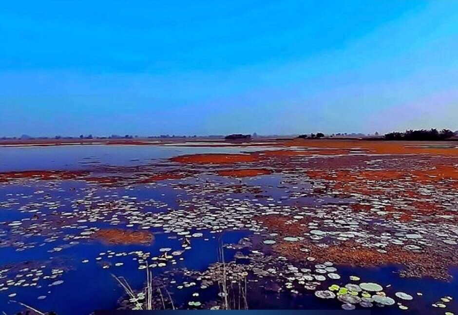 Jagdishpur Reservoir