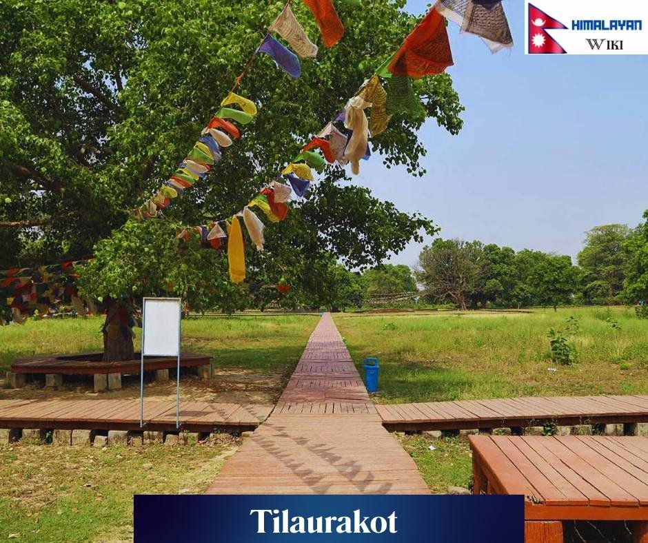 Tilaurakot