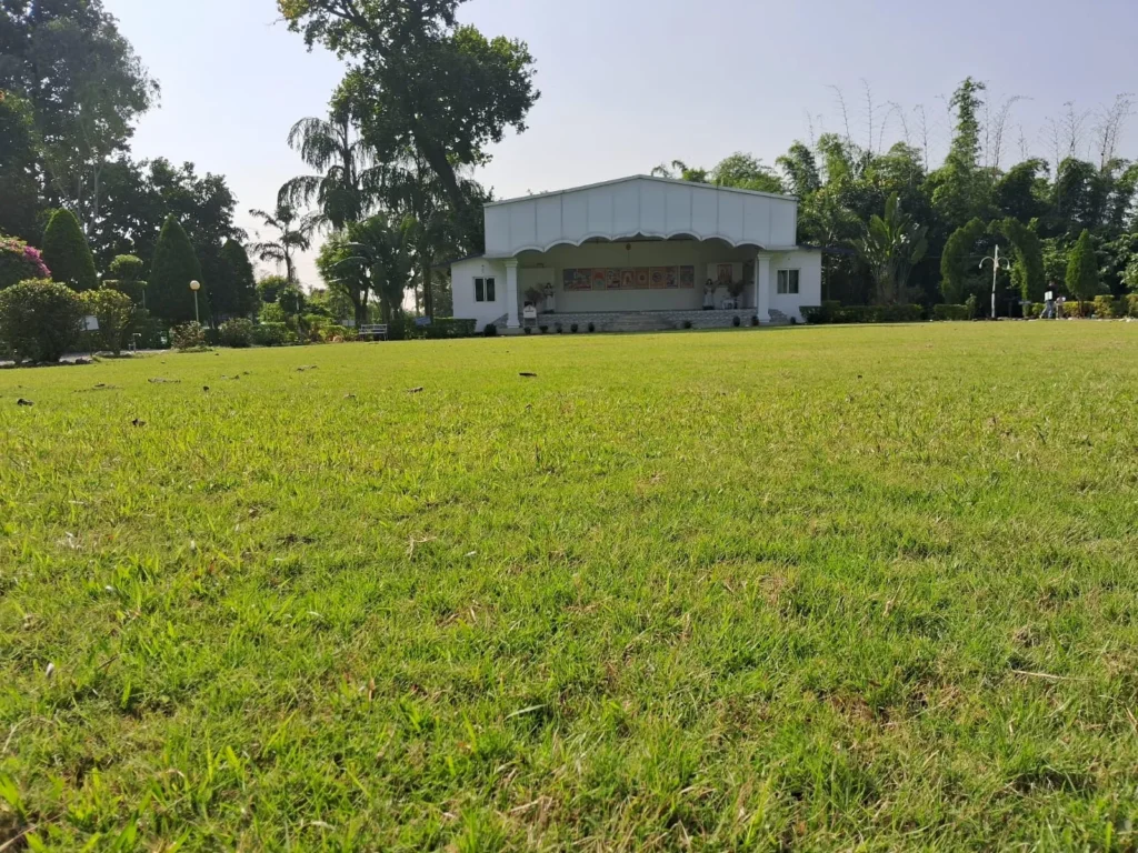 golden garden