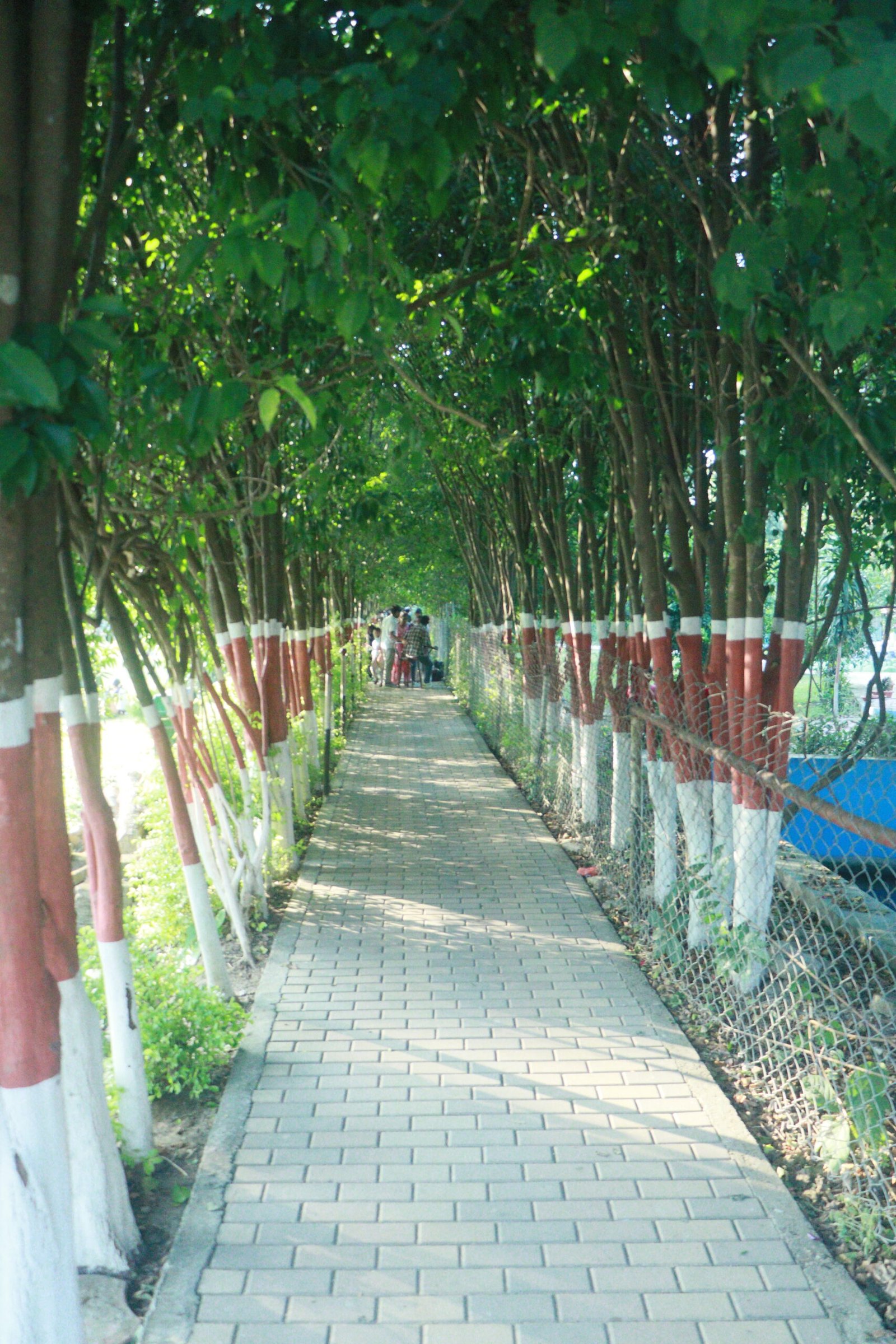 Banbatika Park