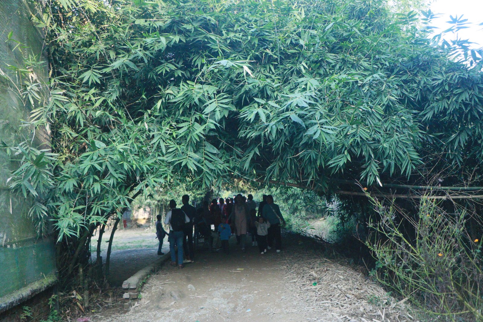 banbatika park