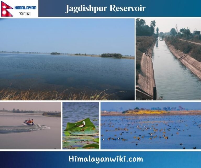 Jagdishpur Reservoir Jagdishpur Taal Largest Artificial Lake In 